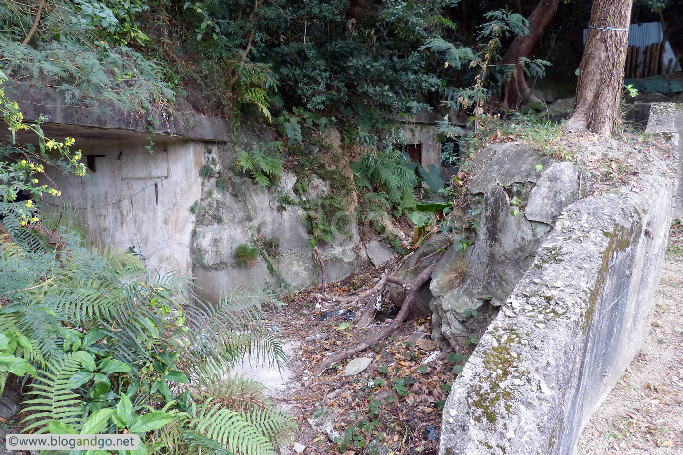 Wong Nai Chung - West Brigade HQ - Looking at the Open Shelter